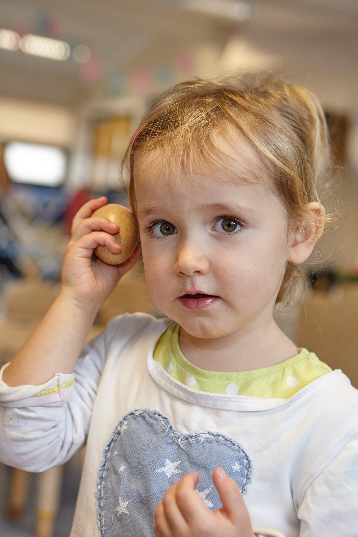 Sensory Sound Eggs Sensory Toy