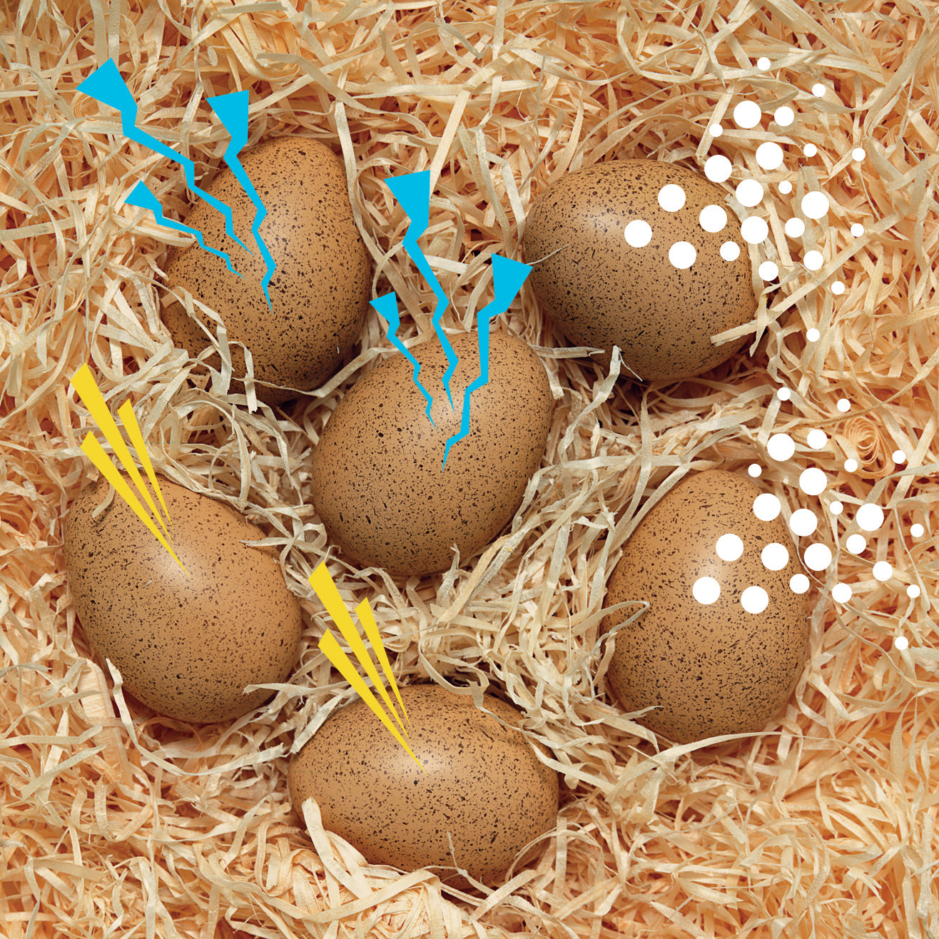 Sensory Sound Eggs Sensory Toy